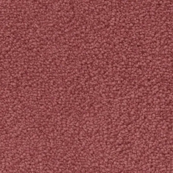 Draufsicht auf Vorwerk Mira 1P99